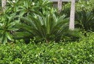 Tootooltropical-landscaping-4.jpg; ?>