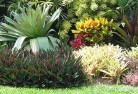 Tootooltropical-landscaping-9.jpg; ?>